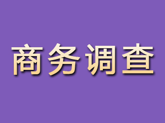 水城商务调查